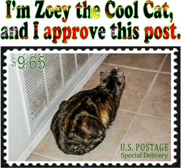I'm Zoey the Cool Cat, and I approve this post