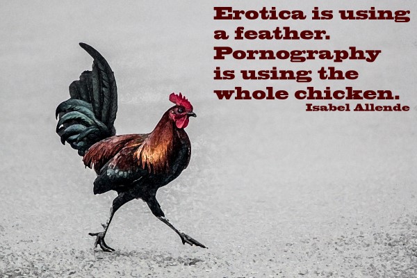 Erotica & Pornography