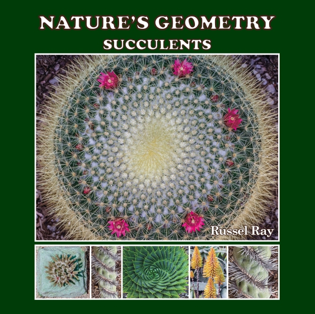 Nature's Geometry: Succulents, by Russel Ray