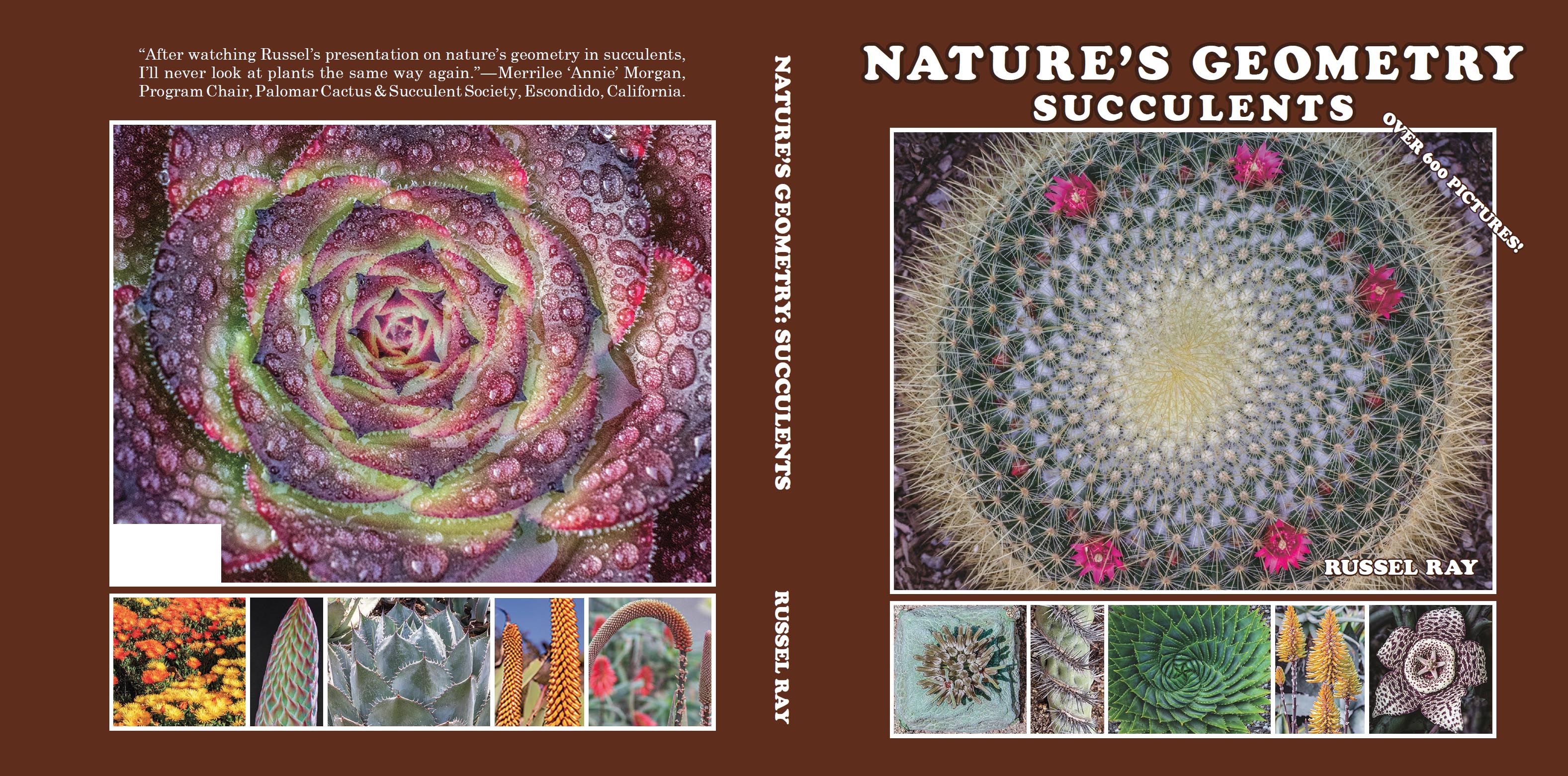 Cover of "Nature's Geometry: Succulents" by Russel Ray